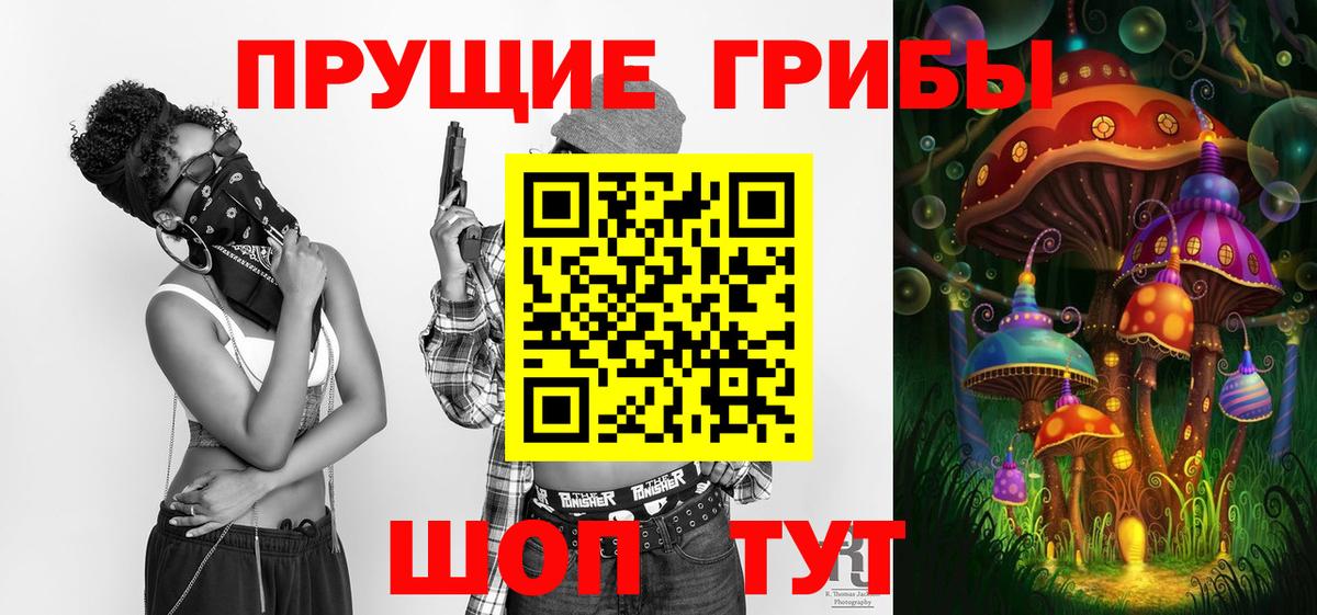 Галлюциногенные грибы Magic Shrooms  Вход с VPN  Сосновый Бор  Галлюциногенные грибы Magic Shrooms 