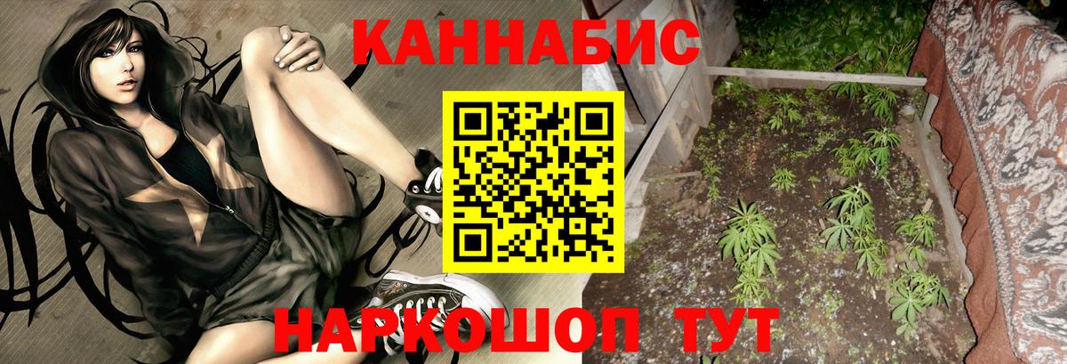 Канабис AK-47 Сосновый Бор